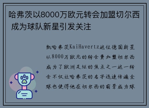 哈弗茨以8000万欧元转会加盟切尔西 成为球队新星引发关注 哈弗茨以8000万欧元转会加盟切尔西 成为球队新星引发关注