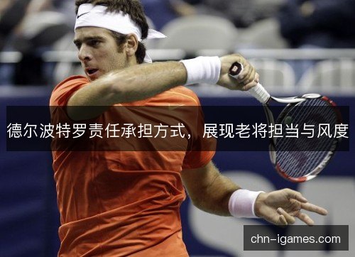 德尔波特罗责任承担方式,展现老将担当与风度 德尔波特罗责任承担方式,展现老将担当与风度